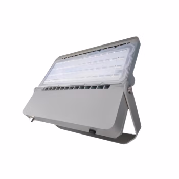 维莱奥斯 TGD1002-G（含安装）150W IP66 220V  5700K LED投光灯 (计价单位：个) 银色