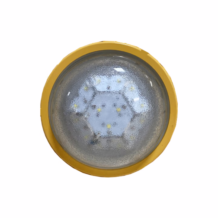 光大特照 EBF605(L)-20W LED顶灯 1.00 台/套 (计价单位：套) 黄色