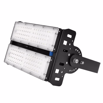 通明 ZY8102D-L100 100W 防护等级IP66 5000K 防水防尘灯 1.00 个/套 (计价单位：套) 黑色