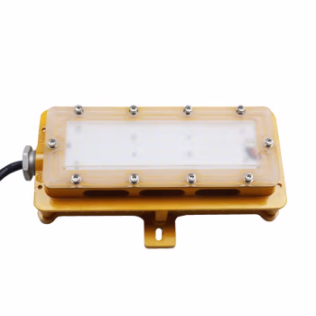 鼎晟丰(DSF) DSFF-910-b 20W LED防爆平台灯 (计价单位：盏) 黄色