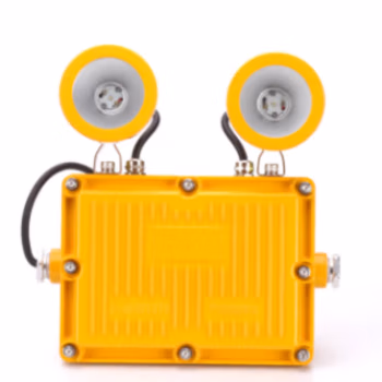 鄂远 EY-W6229  2*5W 防爆等级ExdⅡBT6  防护等级：IP66  色温5700K  光源类型：LED  应急时间大于120min 消防应急灯 (计价单位：盏) 黄色