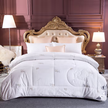 伊伊爱 DB-8YMB-001 全棉防羽布丝光羊毛被 秋冬保暖被子 200*230cm 棉被 (计价单位：件) 白色