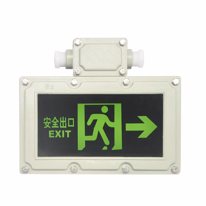 凯瑞(Cary) KLYJ2031 3W IP65 Ex de IIC T6 Gb 220V 6000K LED 防爆标志灯 (计价单位：盏) 灰色