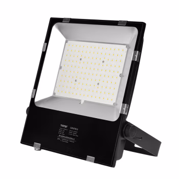 通明 ZY8106-L150 150W 5000K LED照明灯 1.00 个/套 (计价单位：套) 黑色