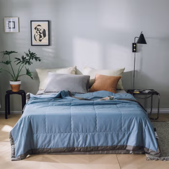 伊伊爱 Z02000122 200*230cm 素色纯棉拼色边 夏被空调被 1.00 件/条 (计价单位：条) 天蓝