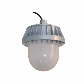 顶火 GMD9151-30W 220VAC 色温6500K IP66 LED 平台灯 (计价单位：个) 银灰