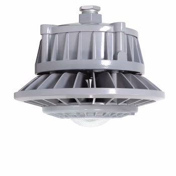 通明 ZY8607P-L80-100 185-264VAC 80W 5000K LED照明灯 1.00 个/套 (计价单位：套) 灰色