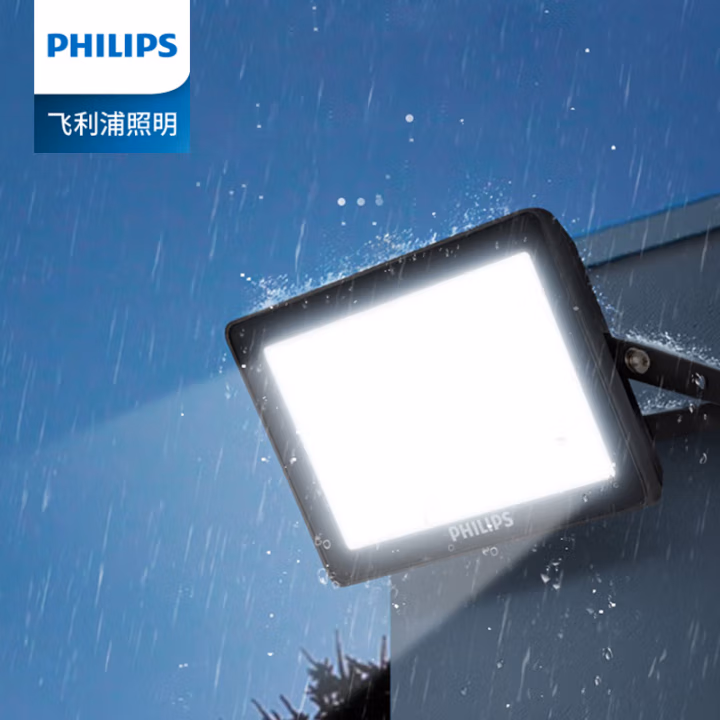 飞利浦(Philips) BVP194 LED112/CW 100W WB GREY CQC 防水防尘灯 (计价单位：个) 白色