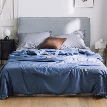 伊伊爱 BZ0LFS2100796 200*230cm 莫代尔夏凉被芯亲肤夏被 被子 1.00 件/条 (计价单位：条) 月光蓝