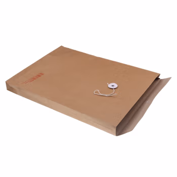 晨光(M&G) APYRA60900 A4 加厚180g牛皮纸 档案袋 20.00 个/包 (计价单位：包) 黄色