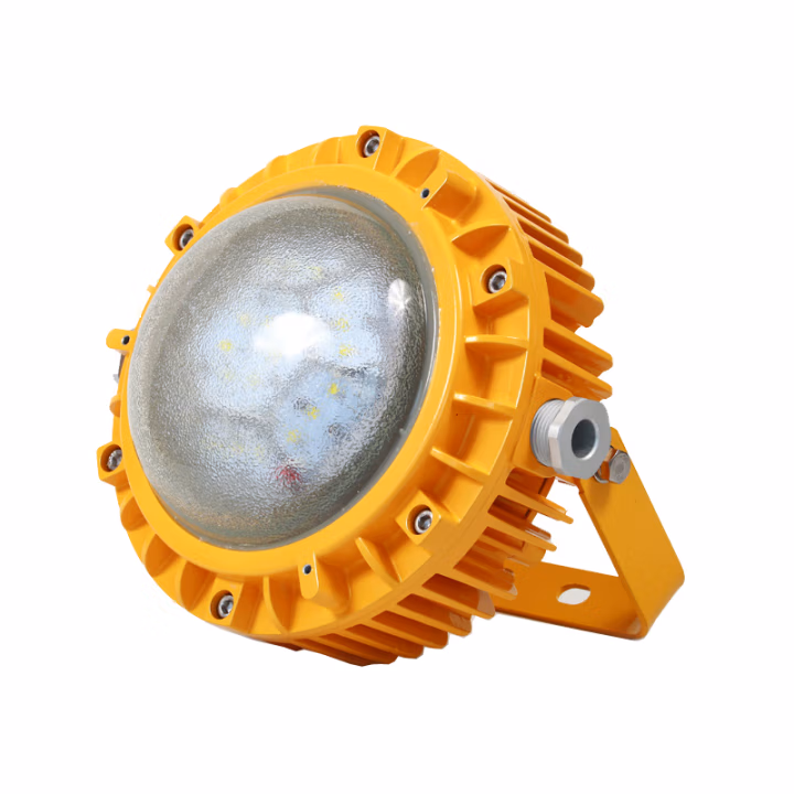 光大 EBF605(L) LED AC220V 60W IP66 5700K 防爆标志Exd IIC T6 Gb/ExtD A21 IP66 T80°C 抗震防爆平台灯 (计价单位：盏) 黄色