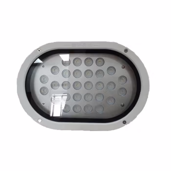 明号电器(MH) LF2100-20Y 20W IP65 220V 白色6000K LED 应急泛光灯 (计价单位：盏) 白色