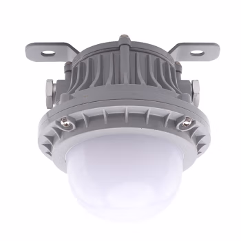 恒盛(HS) BF349 20W IP65 Exde IIC T6 Gb AC220V 白光/约5700K LED LED防爆泛光灯 (计价单位：盏) 灰色