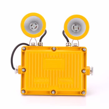 恒盛(HS) BF346 2×3W IP65 Exd IIBT6 应急照明：6h 220V 白光/约5700K LED 防爆应急工作灯 (计价单位：盏) 黄色