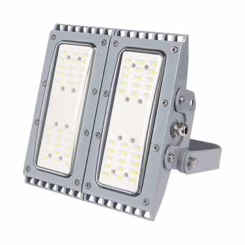 吉特(GT) BG8603-100W 100W IP66 Ex de IIC T6 Gb AC185~265V 色温5000K LED防爆灯 (计价单位：盏) 银灰色