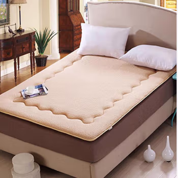 伊伊爱 LTL-16XK-CD10 150*200cm 羊羔绒 床垫 1.00 件/个 (计价单位：个) 驼色