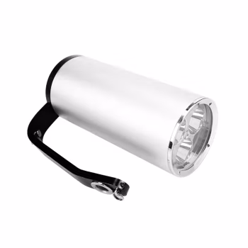 深照紫光 FD-FBSI350/A IP66 消防员照明灯具 1.00 盏/套 (计价单位：套) 银色