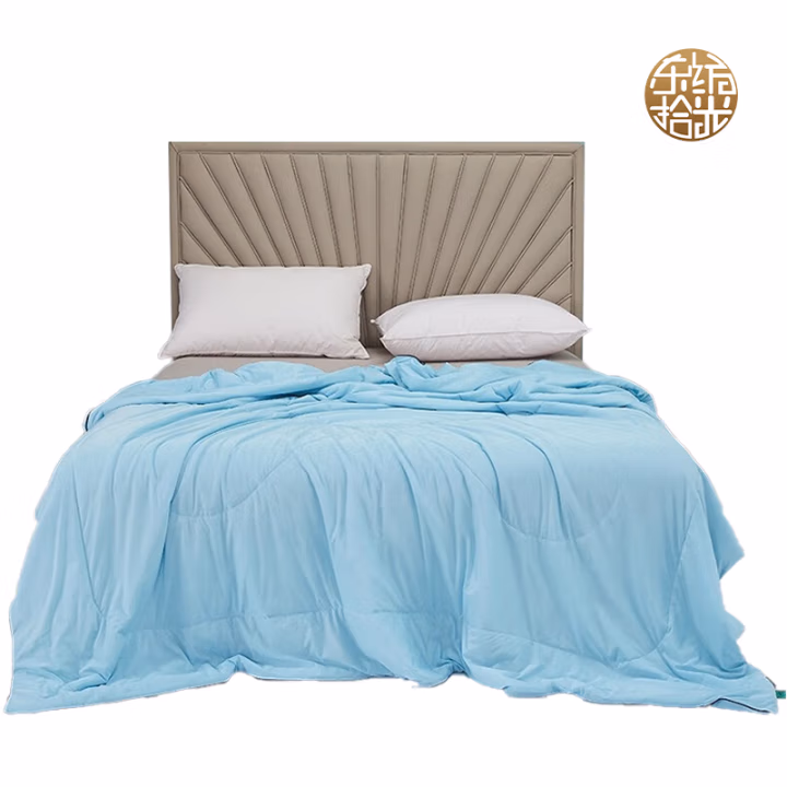 东纺拾光 DF3011-02  150*200cm天雪丝凉感夏被 被子 1.00 件/条 (计价单位：条) 深浅蓝色