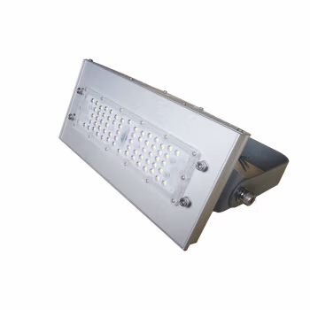 光大特照 GD-EBF209(LQ)-50 50W 轻便型 电压AC220V 防护等级IP66 防腐等级WF2 LED投光灯 (计价单位：个) 银色