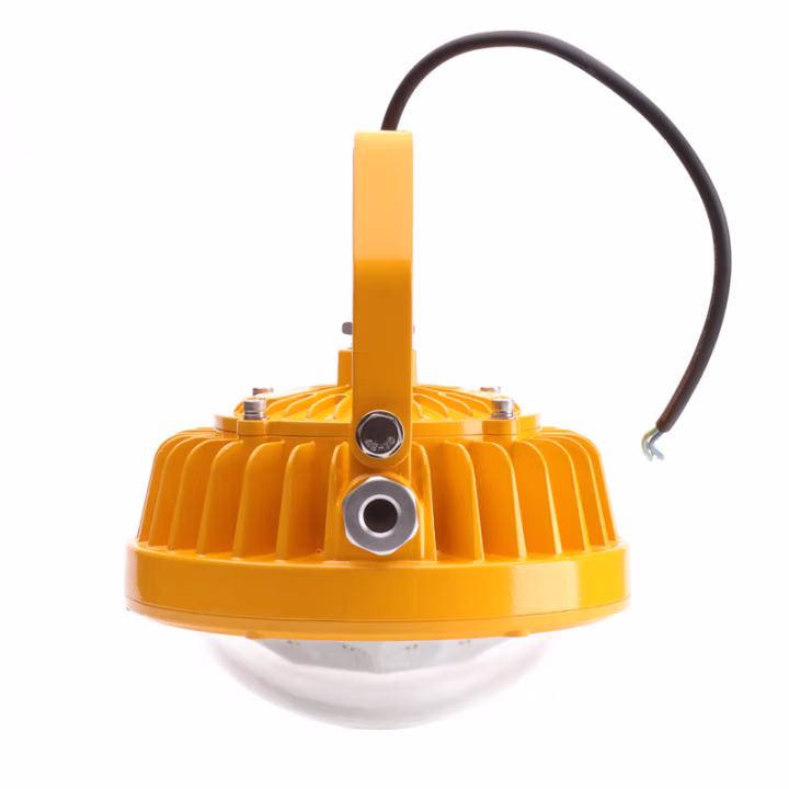 恒盛(HS) BF390B-J 20W IP65 Exd IIBT6 应急照明：2h 220V 白光/约5700K LED 黄 防水防尘灯 1.00 个/盏 (计价单位：盏) 黄色