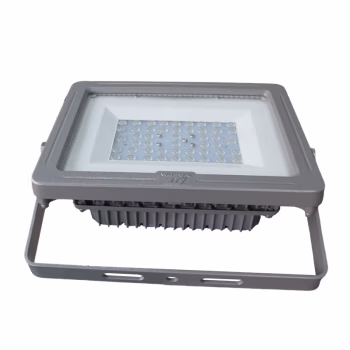 华荣(WAROM) GT311-XL80Ⅲ(GW) 、照明功率80W、防护等级IP66、电压等级220V、光源颜色/色温5000K、光源类型LED、 投光灯具 (计价单位：个) 灰色