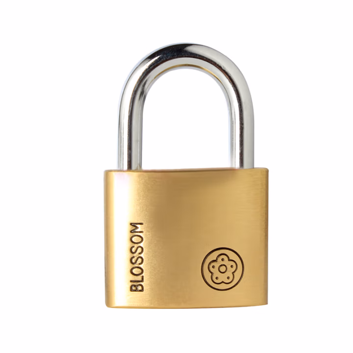 梅花(BLOSSOM) BC90 40mm 弧形欧款铜锁 1.00 个/把 (计价单位：把) 黄色