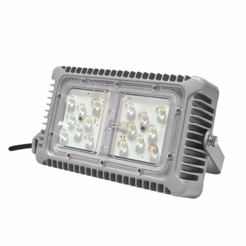 尚为(SEVA) SW-ZFZD-E10W-7241A 10W IP66  AC187-240V 白色5700K LED 消防应急照明灯具 1.00 盏/个 (计价单位：个) 银色