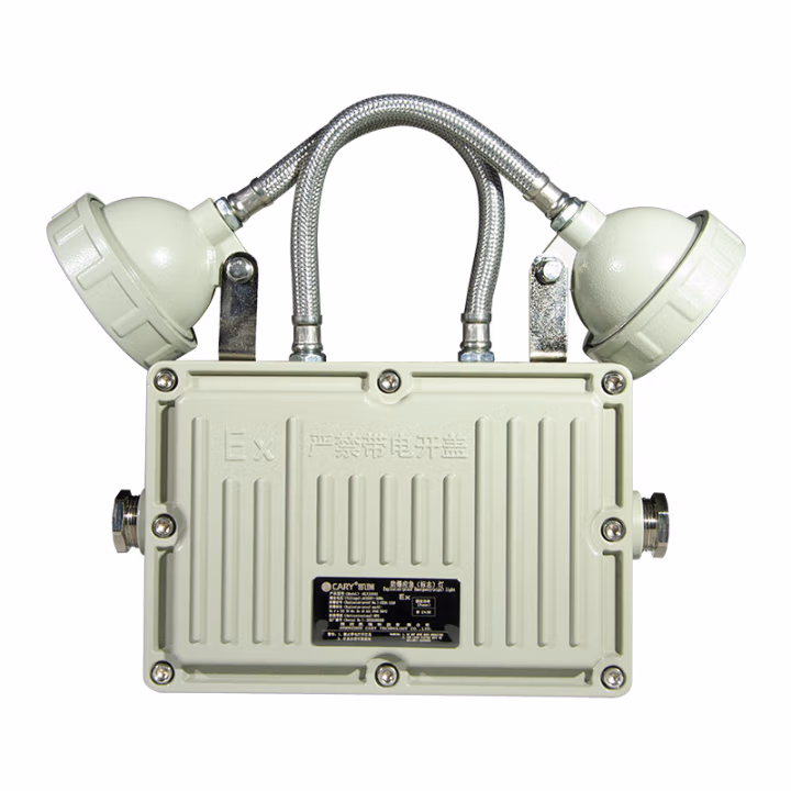 凯瑞(Cary) KLYJ2032 2*5W IP65 Ex de IIC T6 Gb 220V 6000K LED 防爆应急灯 (计价单位：盏) 灰色