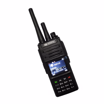 惠乐为 MS1008 手持4G对讲机 1.00 台/个 (计价单位：个) 黑色