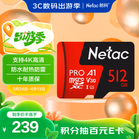 朗科（Netac） P500至尊Pro版 512G TF卡 1.00 个/张 (计价单位：张)