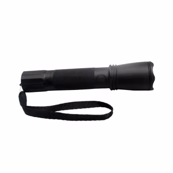 鼎辉照明(DINGHUIZHAOMING) BFDH7011，3W，DC3.7V，5700K，Ex d IIC T6 Gb/Ex tD A21 IP66 T80℃ LED微型强光电筒 (计价单位：个) 黑色