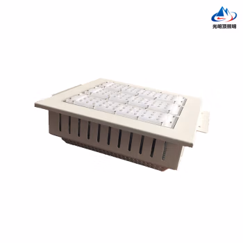 顶火 GMD9100A LED棚顶灯 (计价单位：个) 白色