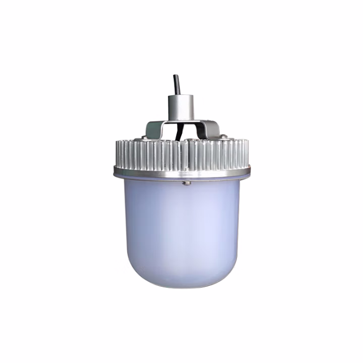 惠乐为 乐惠 LB8001 70W 4700K IP65 LED灯 (计价单位：个) 白色