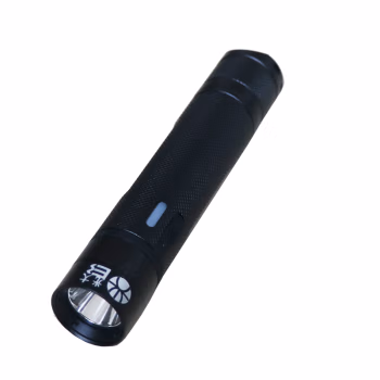 光大 EB8010BX 微型电筒 1.00 个/套 (计价单位：套) 黑