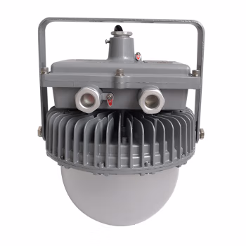 正辉（CHHI） NLC9207-B 60W IP65 AC220V 白光 6000K LED LED平台灯 (计价单位：个) 灰色