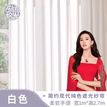 东纺拾光 DF4008 宽1m*高2.7m 简约现代纯色遮光纱帘 窗帘 1.00 米/个 (计价单位：个) 白色