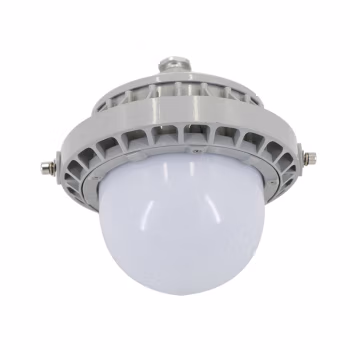 熠飞(EEEFEI) EF8103 100W IP65 220V 防水防尘灯 (计价单位：个) 白色