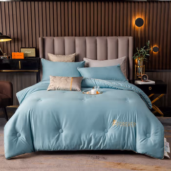 伊伊爱 BZ0TDC2100837 /200*230cm 澳棉100支大豆秋冬被 1.00 件/条 (计价单位：条) 维多利湖蓝