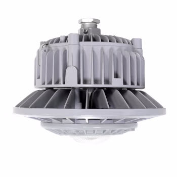 吉特(GT) BG8602P-30W-100° 30W IP66 Ex d ⅡC T5/T6 Gb AC90~264V 色温5000K LED防爆灯 (计价单位：盏) 银灰色