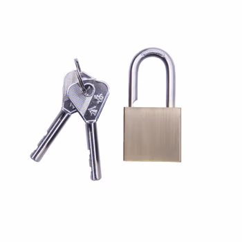 金岳 厚BR30MM  30*20*54 叶片通开锁 1.00 个/把 (计价单位：把) 青古铜