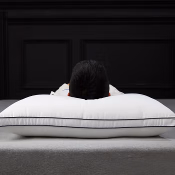 伊伊爱 ZXBHJC2000041 48*74cm 谊家云绒枕 高枕 1.00 件/只 (计价单位：只) 白色