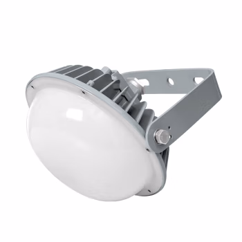 通明 ZY8601S-L60 60W 防护等级IP66 5000K 防水防尘灯 1.00 个/套 (计价单位：套) 灰色