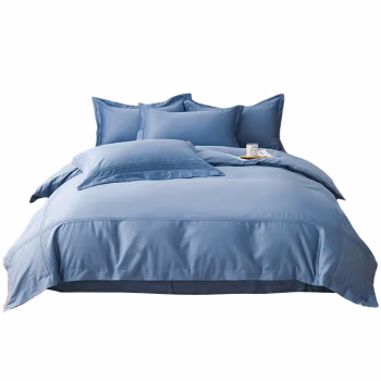 安居先森 D1563四件套 焕彩喷气全棉印花双人床四件套活性印染 (计价单位：套) 蓝色