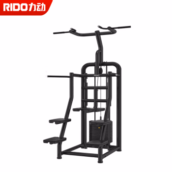 力动 RD501Explore系列助力引体下拉 力量训练器 (计价单位：台) 黑色