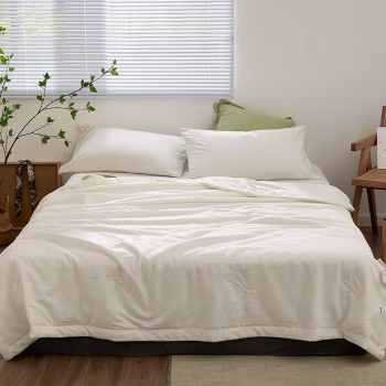 伊伊爱 BZ0LFS2100759 /220*240cm 全棉提花大豆夏凉被空调被子 1.00 件/条 (计价单位：条) 白色