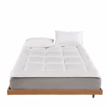 博洋家居(BeyondHome) WT9024070013A 150*200cm 2140g 聚酯纤维 垫子褥子 (计价单位：件) 雅白