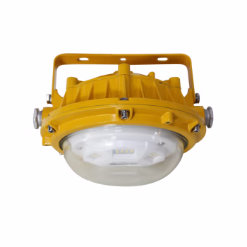 众朗星 ZL8923-L48 AC/DC85-265V 48W Exd II B+H2 T6 Gb 防爆泛光工作灯 (计价单位：盏) 黄色