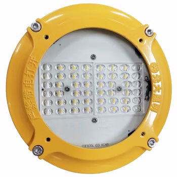 光大 EBF605L(D) LED AC220V 24W IP66 WF2 5700K ExdIICT6 抗震防爆平台灯 (计价单位：盏) 黄色