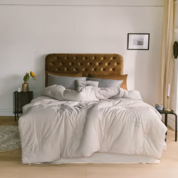 婵思 BZGLFS2000298 220 x 240/总重约5斤 提花大豆 春秋被 1.00 件/条 (计价单位：条) 浅米