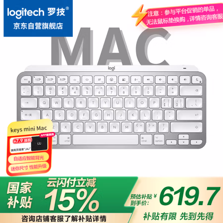 罗技（Logitech） MX Keys Mini 无线蓝牙 键盘 (计价单位：个) 灰色